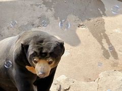 -北京野生动物园