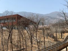-紫云台香草园