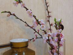 -凤凰小镇·徐州特色菜(凤凰岭店)
