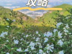-阳台山自然风景区