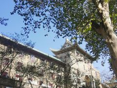 -武汉大学-樱园