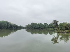 -大湾区中央湿地公园