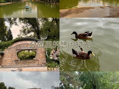 -团结湖公园