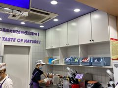 -一只酸奶牛(八一路店)