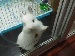 -雨林宠物医院 非犬猫异宠专科