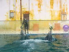 -北戴河圣蓝海洋公园