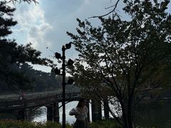 -庐山风景区花径公园