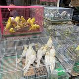西仓记忆，感受浓厚的生活气息来这里