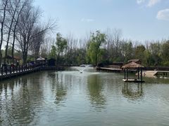 -溱湖国家湿地公园