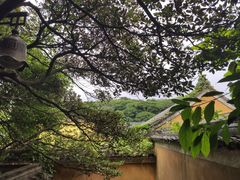 -普陀山慧济禅寺