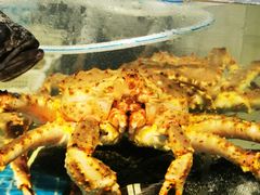 -大锅强·蒸海鲜青岛菜(吾悦广场店)