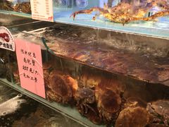 -超级物种·波龙工坊(国贸店)