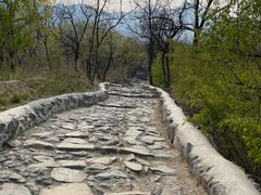 -阳台山自然风景区