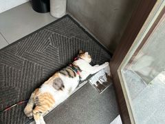 -Again Coffee Roaster(香蜜湖店)