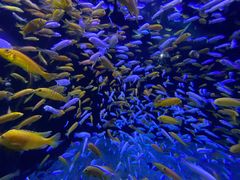 -成都浩海立方海洋公园