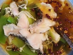-席家花园(巨鹿花园店)