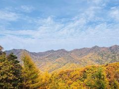 -洛阳白云山景区