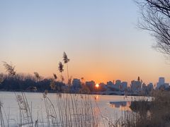 -朝阳公园游乐园