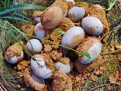 -滇铺子(欣都龙城店)