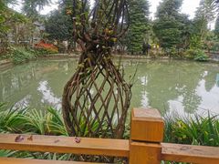 -水岸庭院·乡村柴火鸡