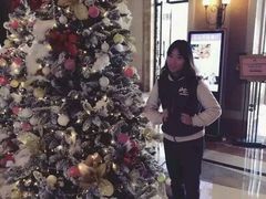 -平湖九龙山庄园圣马可酒店