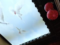 -徽三说·土徽菜·中国徽菜连锁品牌(一中店)