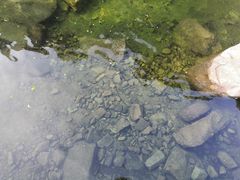 -崂山九水游览区