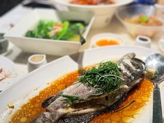 -陶陶居酒家(新天地店)