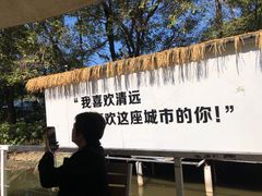 -芭厘农庄老字号·清远鸡