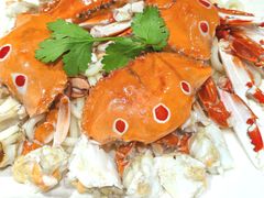 -百年银屏·蚝烙专门店(乐山店)