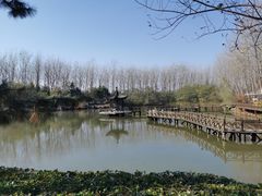 -合肥滨湖国家森林公园