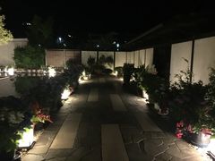 -滨千鸟之汤 海舟
