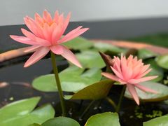 -南戴河国际娱乐中心