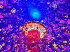 -海合安成都极地海洋公园