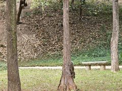 -深圳龙潭公园