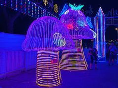 -新五爱道夜市