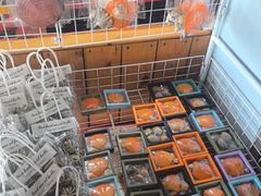-蓝湾碧波·老字号·疍家非遗海上餐厅