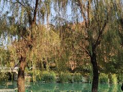 -沙河三洞古桥公园