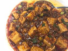麻婆豆腐-松云泽