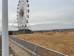 -奉贤海滩