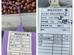 -Torch Coffee 炬点咖啡