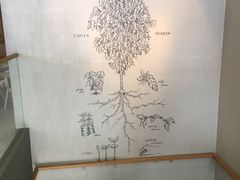-星巴克(福州万象九宜城分店)