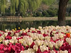 -石家庄市植物园