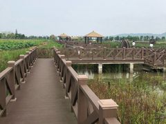 -漩门湾国家湿地公园