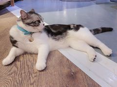-小时光咖啡馆(开森度假森林店)