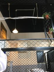 -茶发Salon·烫发染发理发