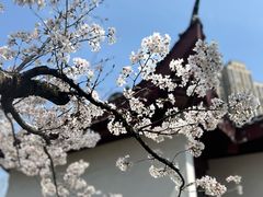 -堤角公园