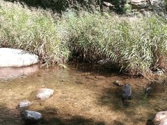 -碓臼峪自然风景区