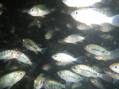 -灵秀温泉