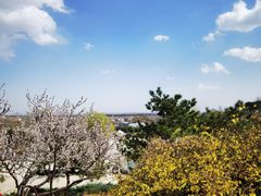 -北京西山国家森林公园